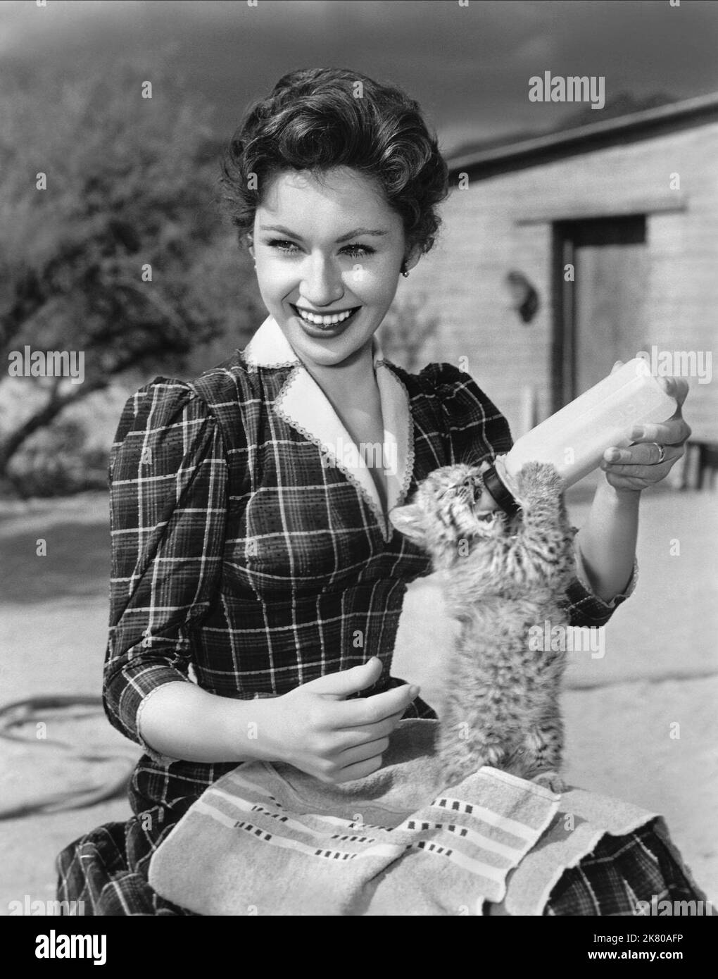 Proud mary movie hires stock photography and images Alamy