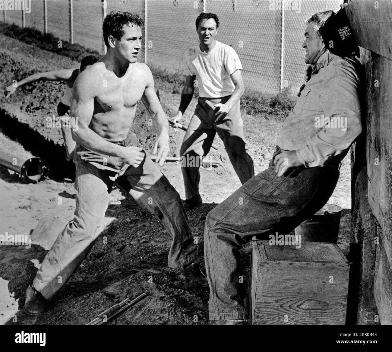 Somebody Up There Likes Me 1956