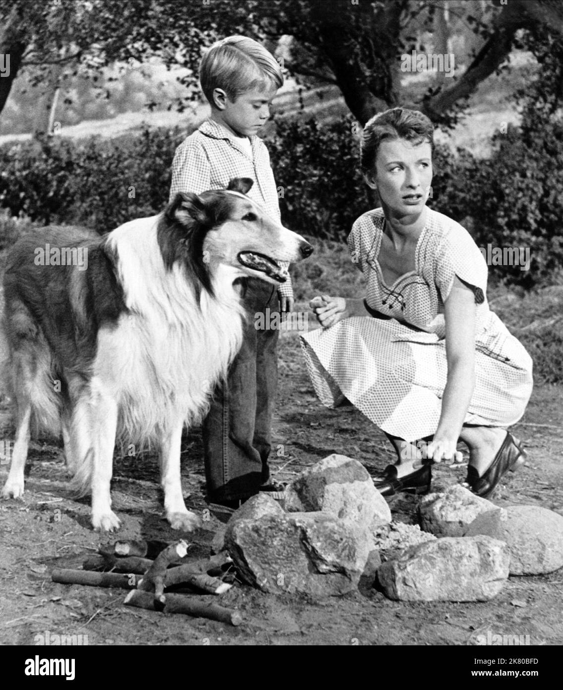 Screen Time: 'Lassie' star Jon Provost to appear at cannabis convention