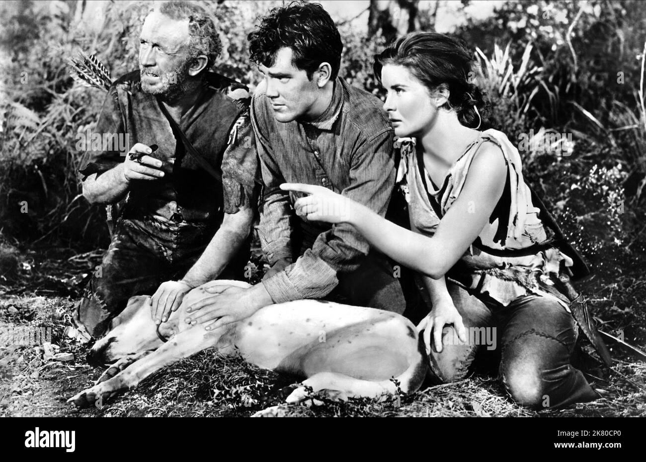 Walter Brennan, Jeffrey Hunter & Jean Peters Film: Lure Of The Wilderness (1952) Characters: Jim Harper, Ben Tyler, Laurie Harper  Director: Jean Negulesco 16 July 1952   **WARNING** This Photograph is for editorial use only and is the copyright of 20TH CENTURY FOX and/or the Photographer assigned by the Film or Production Company and can only be reproduced by publications in conjunction with the promotion of the above Film. A Mandatory Credit To 20TH CENTURY FOX is required. The Photographer should also be credited when known. No commercial use can be granted without written authority from th Stock Photo