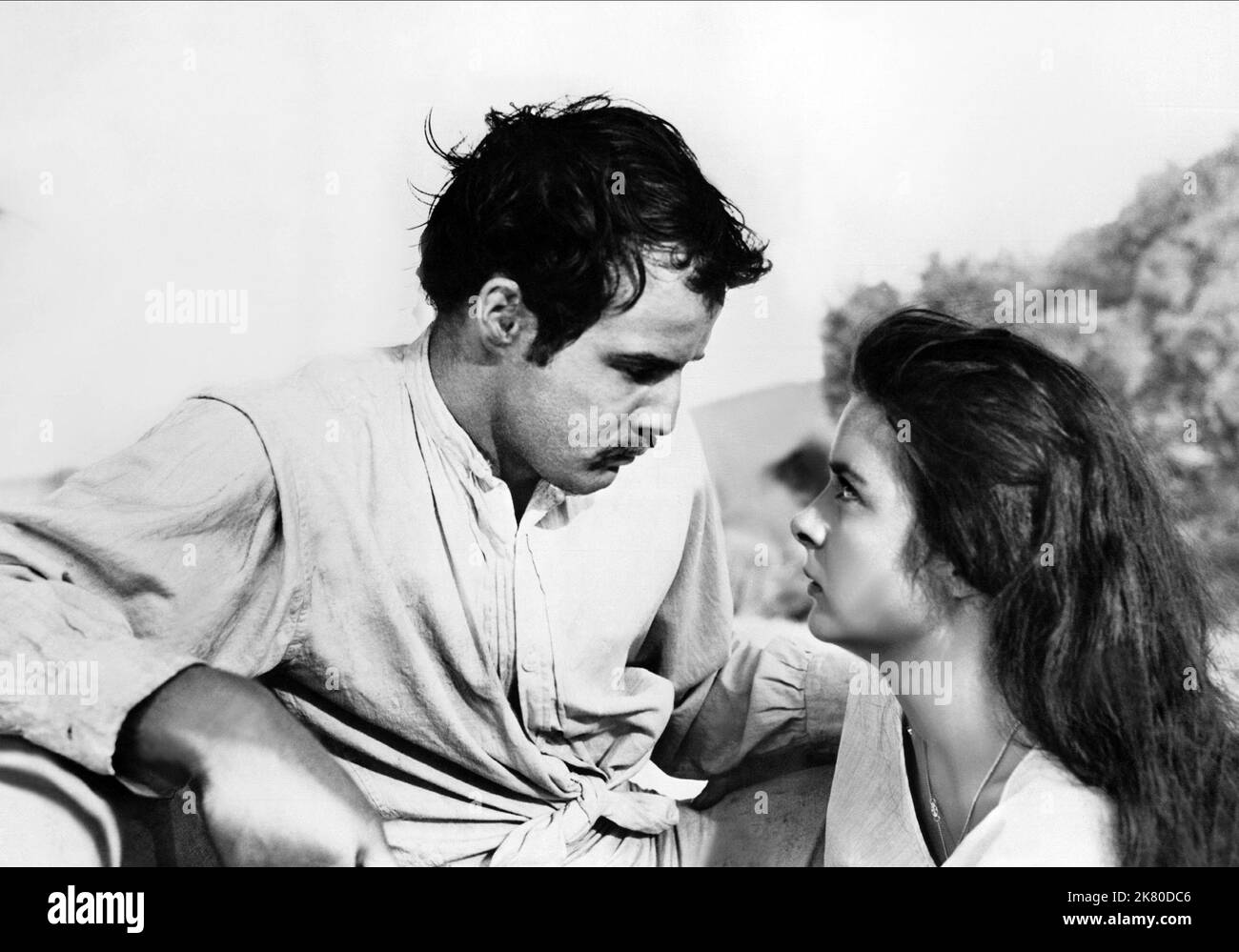 Brando hi-res stock photography and images - Page 41 - Alamy