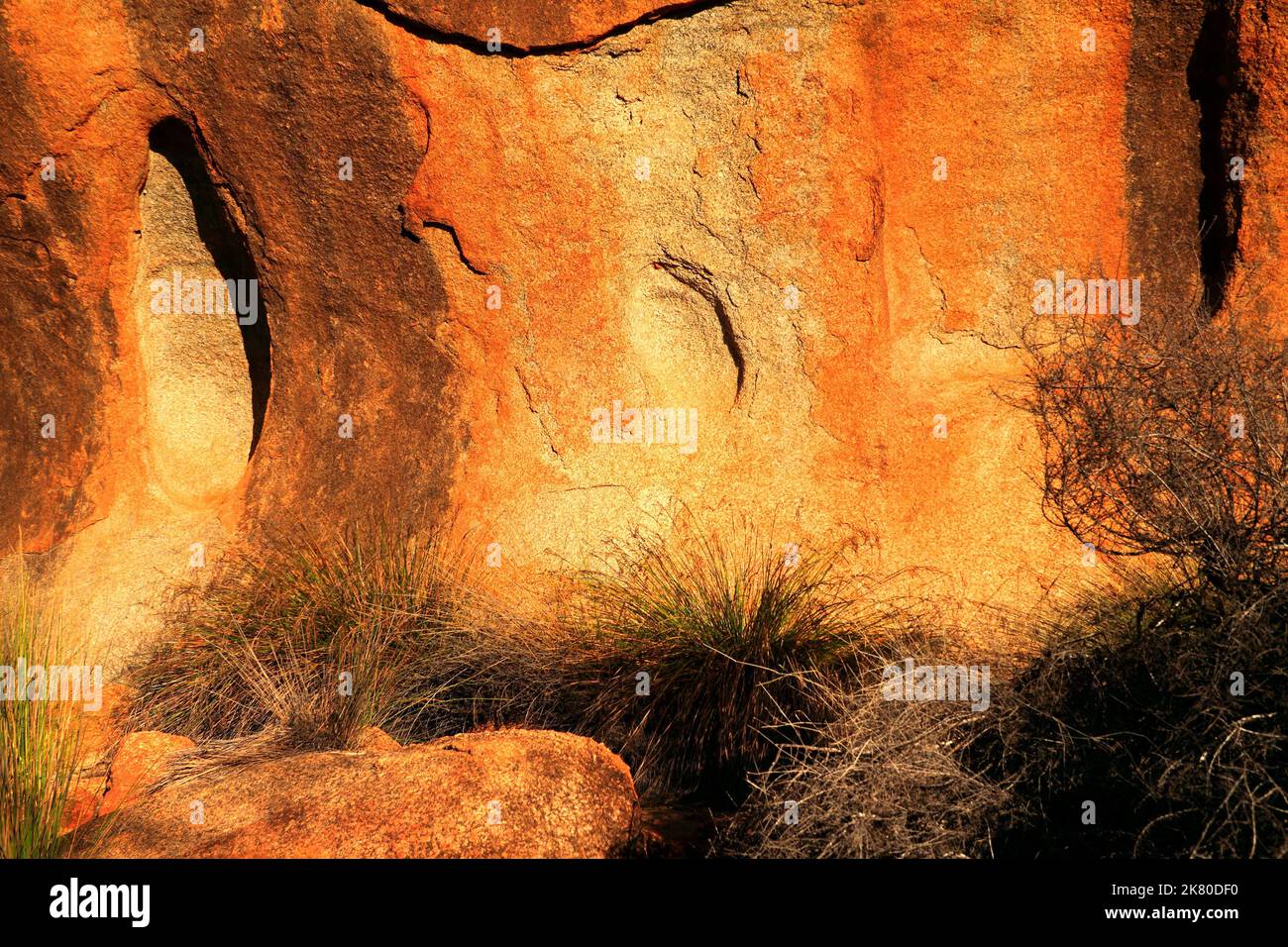Wheat Rocks Detail of Red granite wall of Elachbutting Rock near Muckinbudin ...