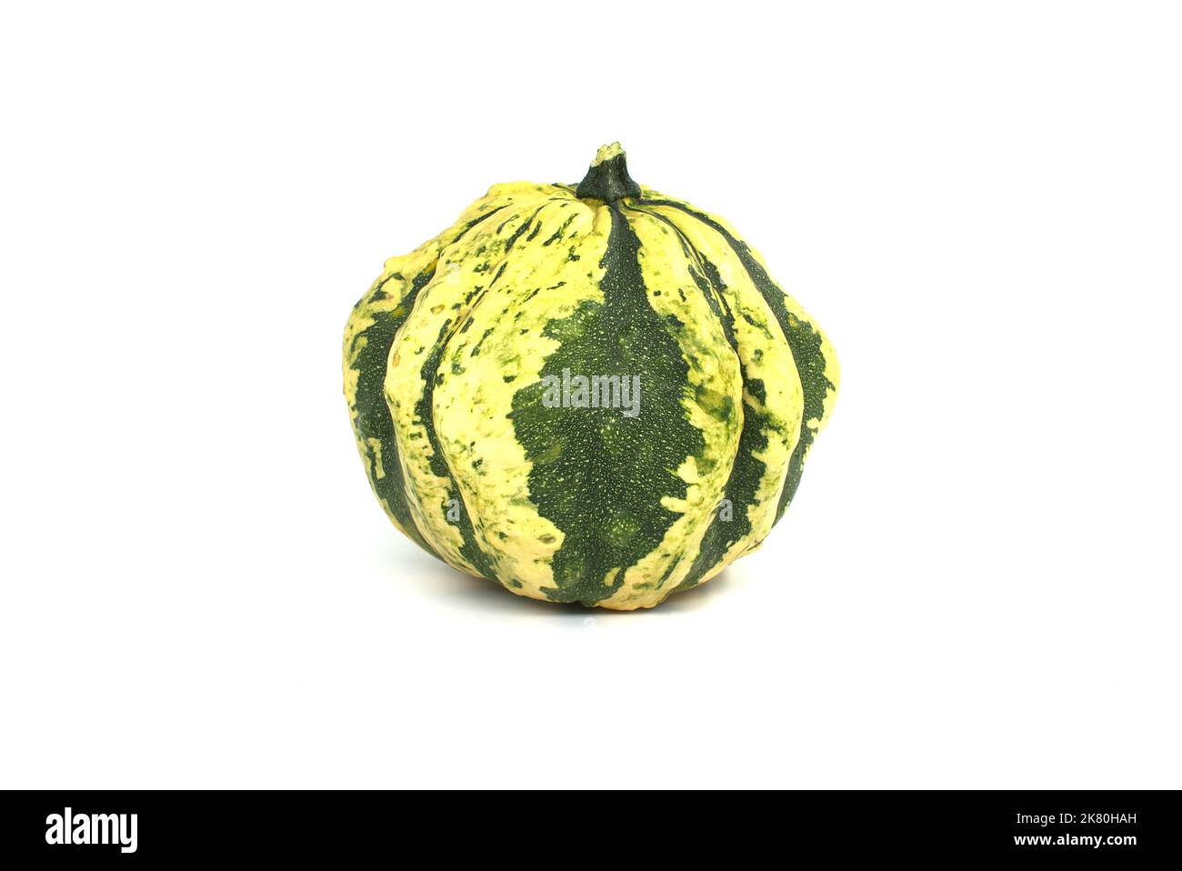 Decorative green pumpkin isolated on white background Stock Photo - Alamy