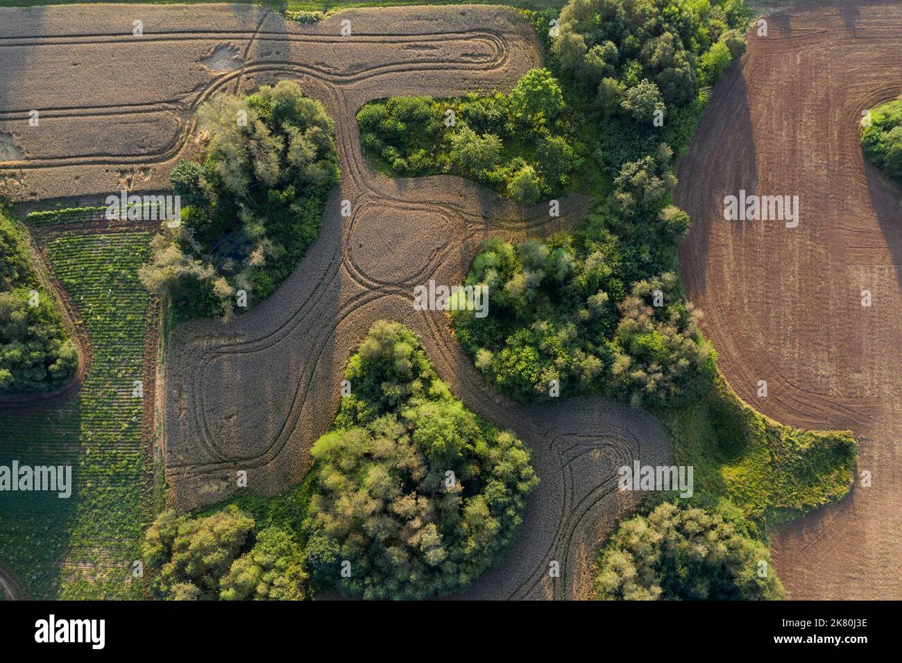 Crop fields and groves in nature park, Lithuania, aerial view Stock Photo