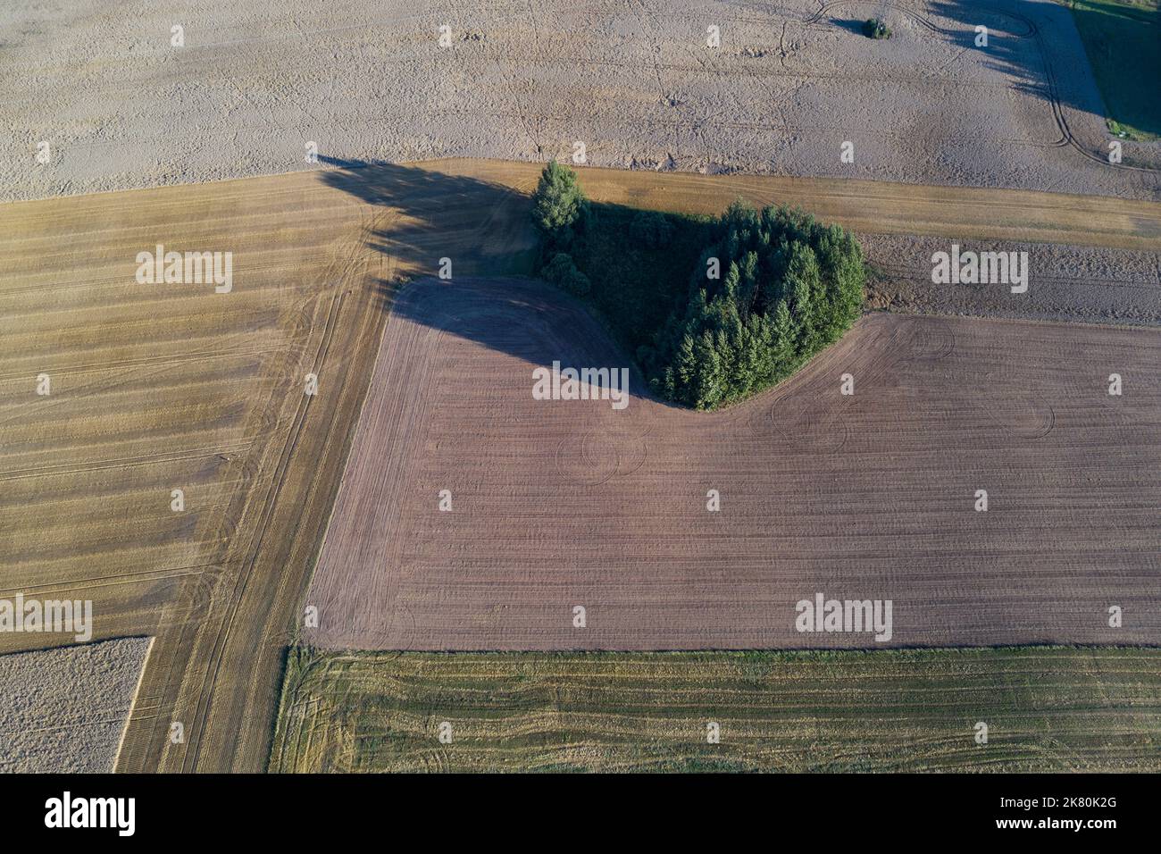Crop fields and grove in nature park, Lithuania, aerial view Stock Photo