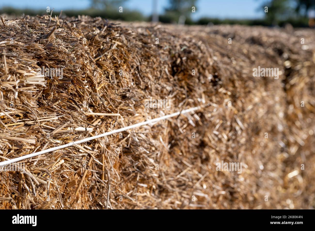 Selective focus on wire tie used on a square straw hay bale Stock Photo
