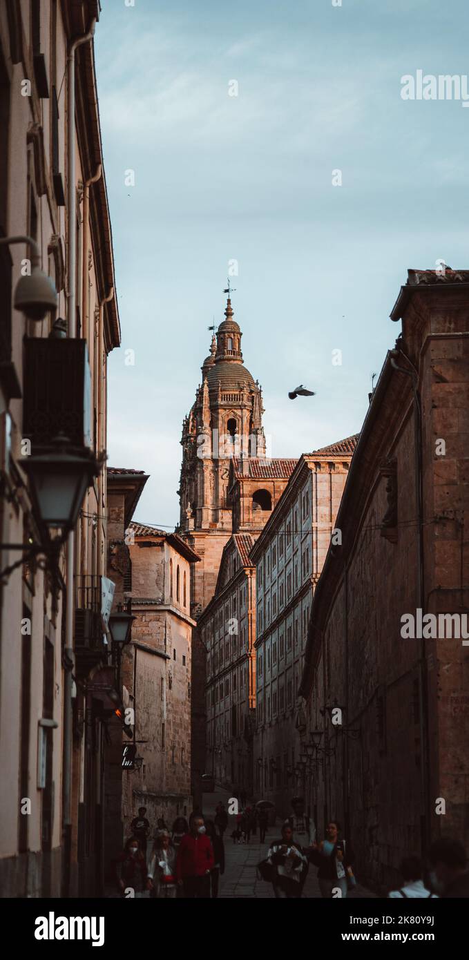 Cathedral of Salamanca in Spain Stock Photo