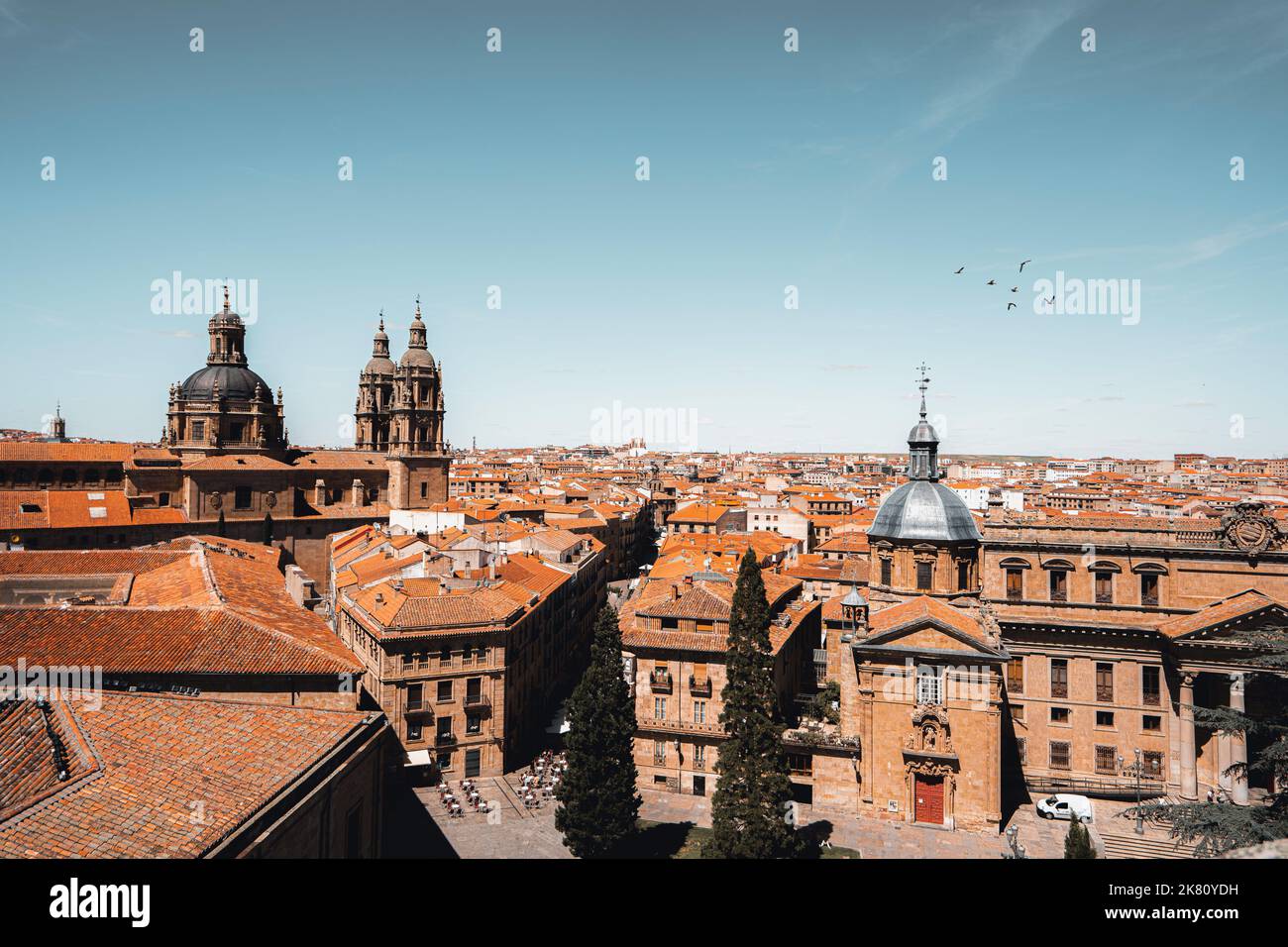 Cathedral of Salamanca in Spain Stock Photo Alamy