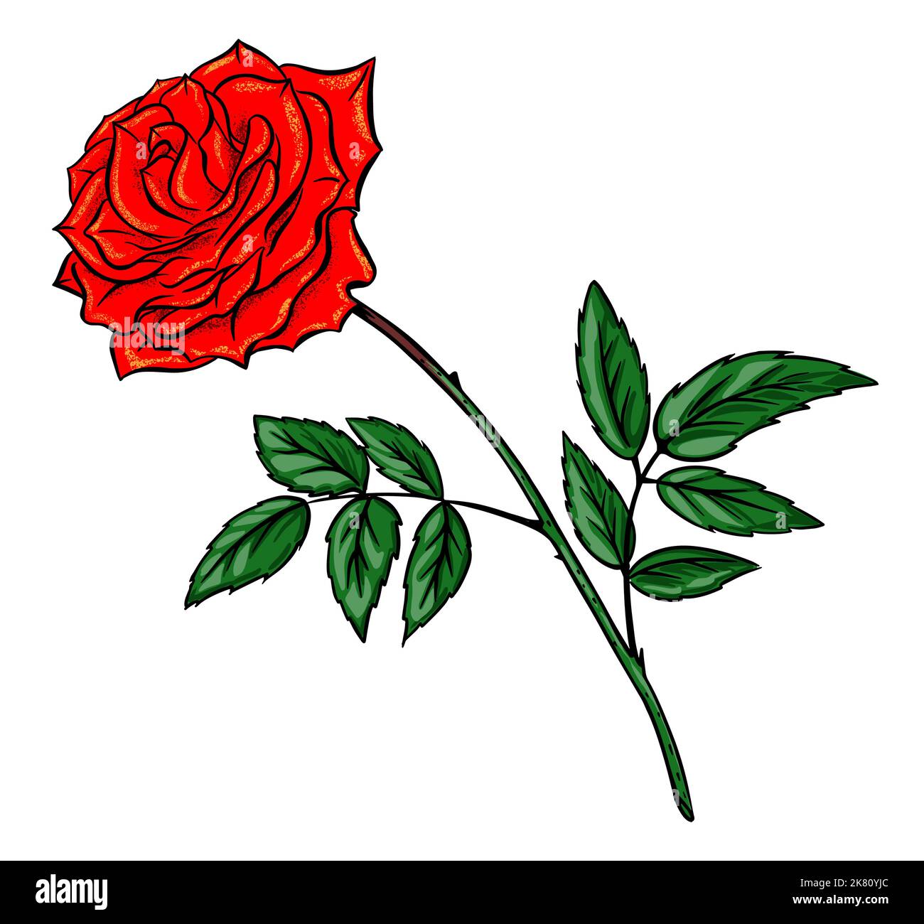 Red rose sketch hand drawn Isolated on white background vector Stock Vector Image & Art Alamy