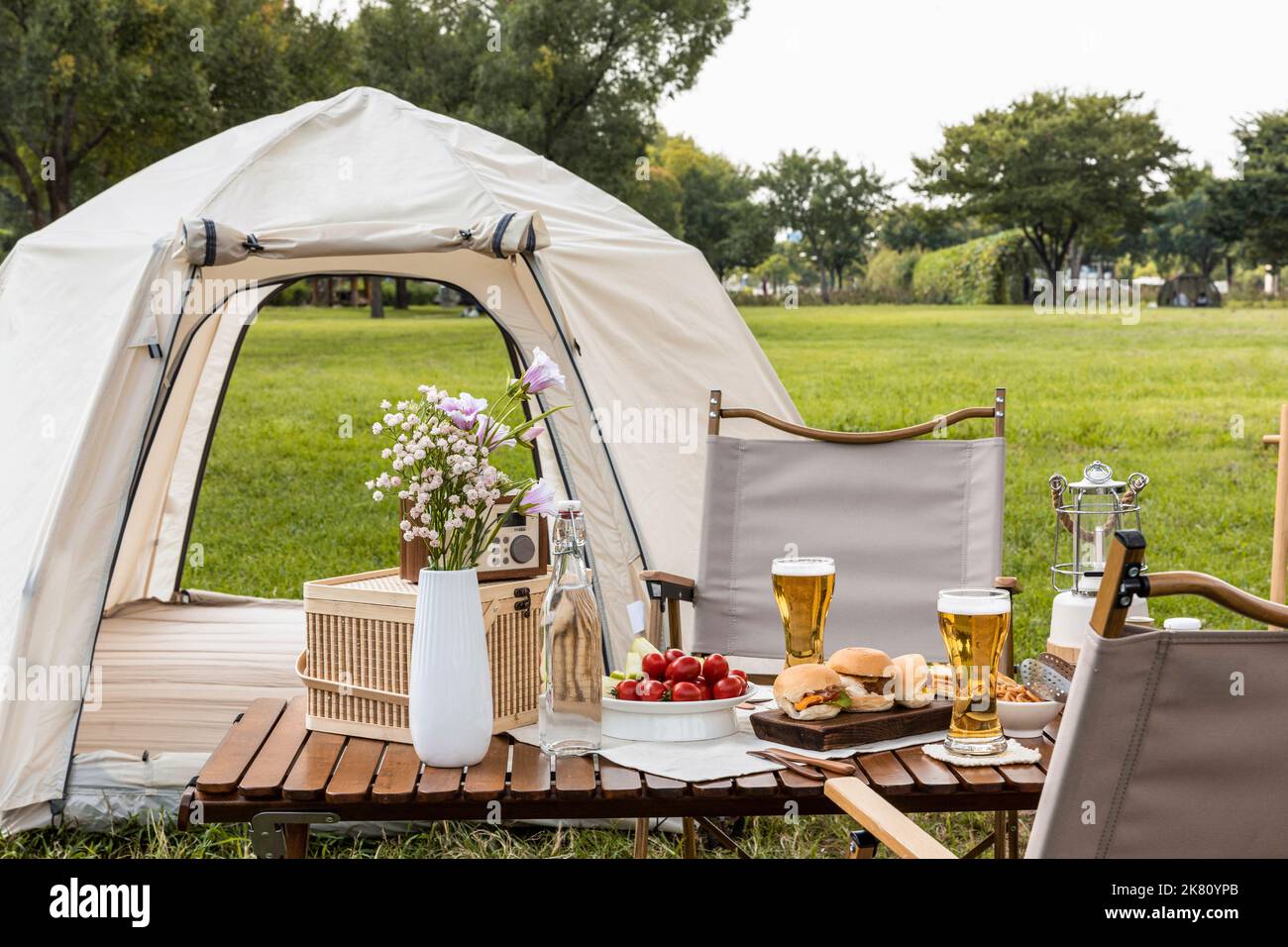 camping chairs online