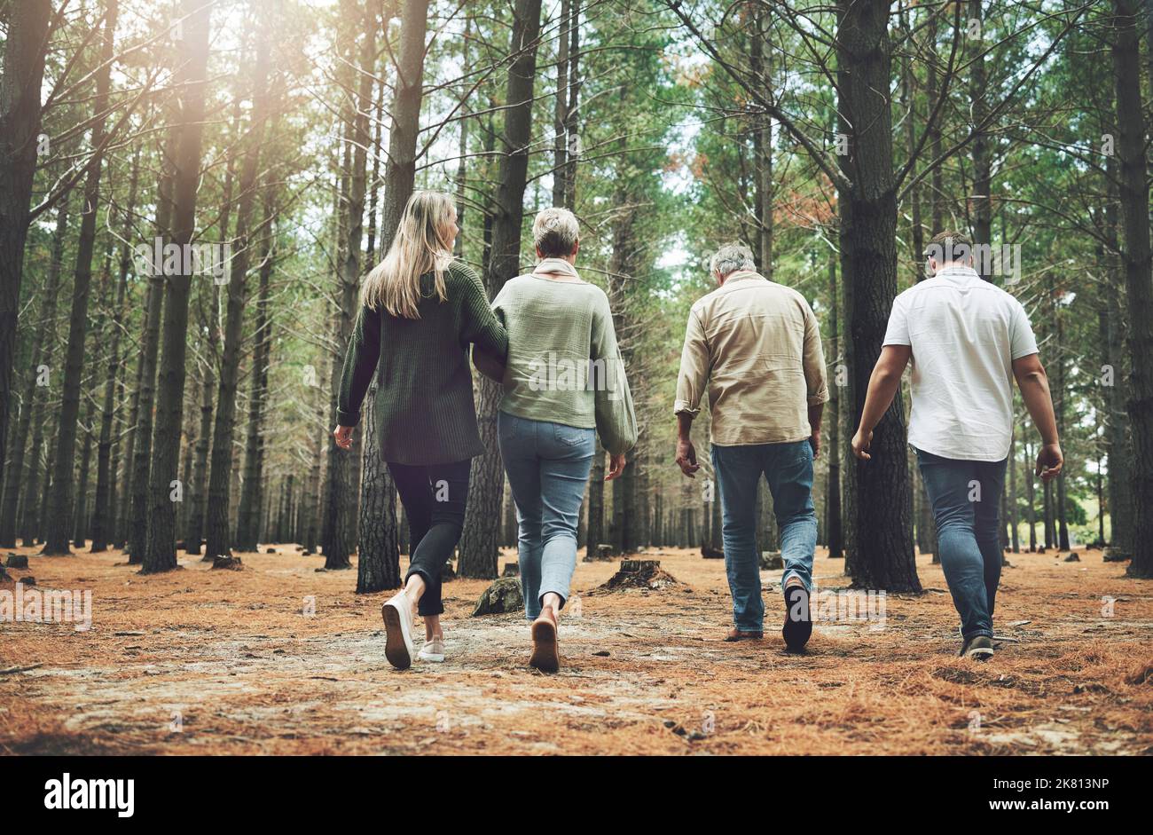 Family, friends and forest adventure with parents and adult children walking in nature for outdoor hiking, fun and trees on wellness vacation. Running Stock Photo