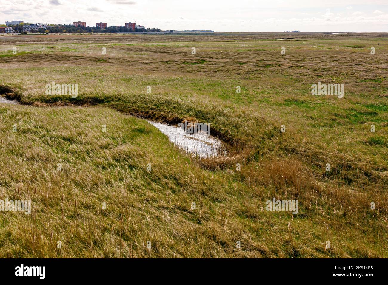 Tide pool in the salt marshes between the sandbanks and dunes in front of Sankt Peter-Ording Stock Photo