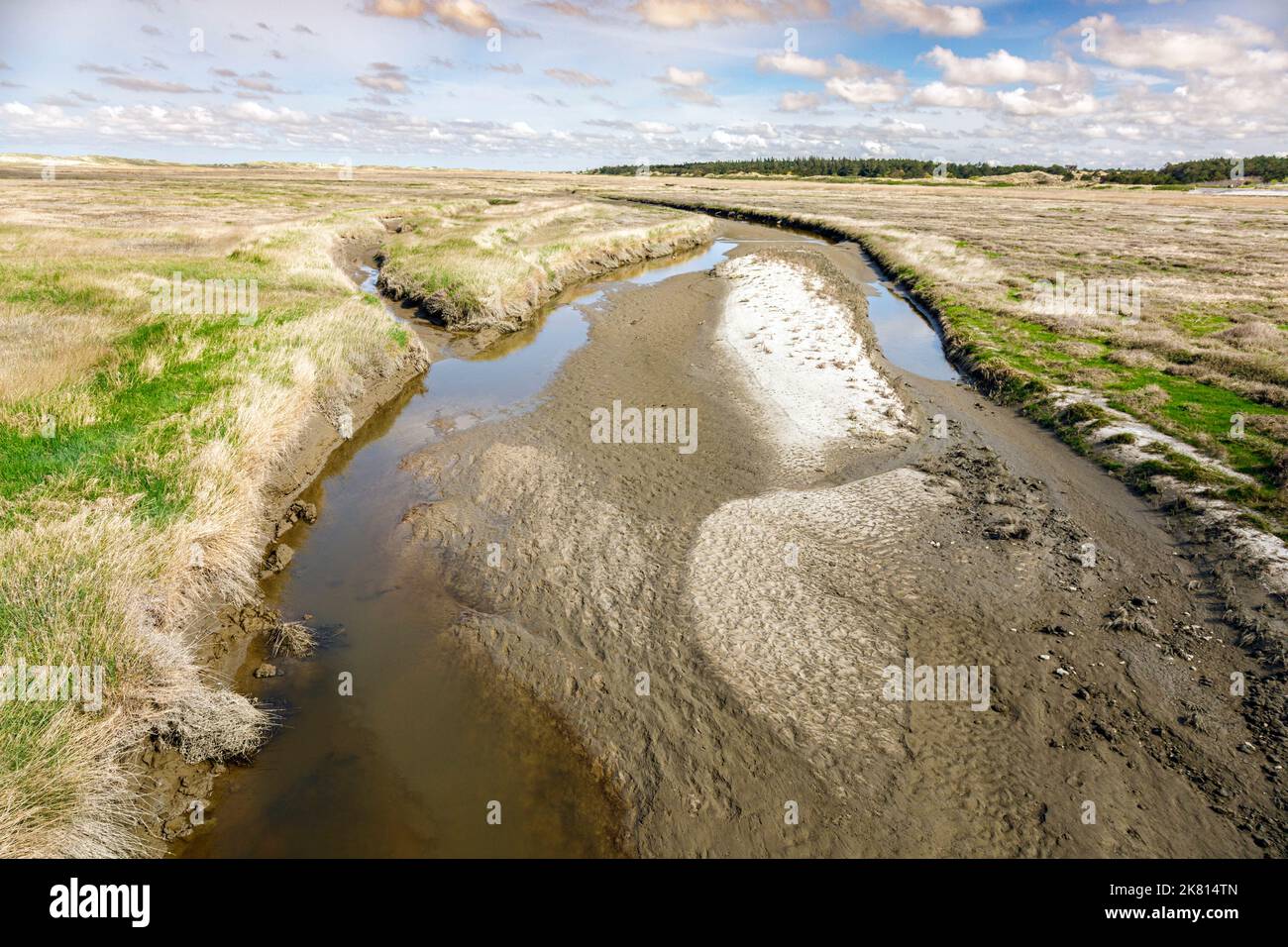 Tide pool in the salt marshes between the sandbanks and dunes in front of Sankt Peter-Ording Stock Photo
