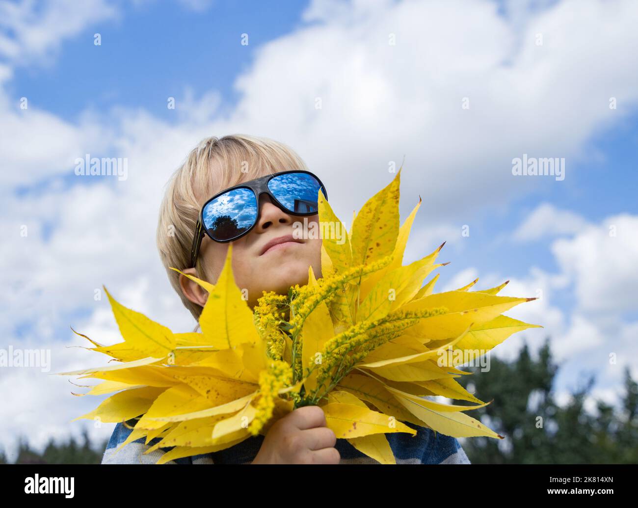 On sunny day against blue sky, 5-year-old boy in sunglasses holds bouquet of yellow autumn leaves in hands. Ukrainians want peace. Stop the war. suppo Stock Photo