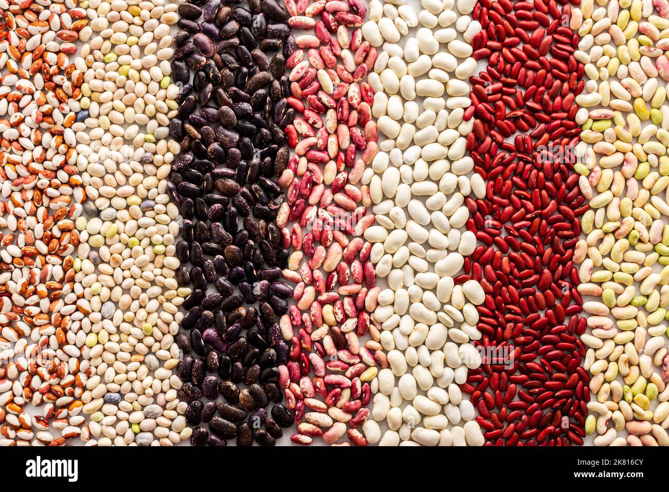 Background from different types of beans in rows, economically