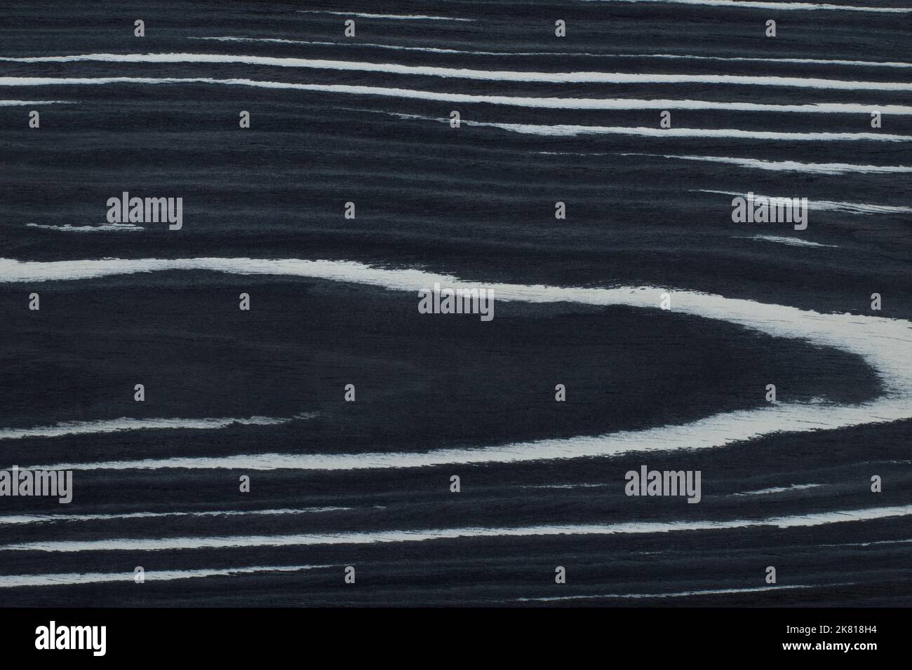 Texture of Exotic Black and White Ebony 8 Makassar Wood veneer Stock