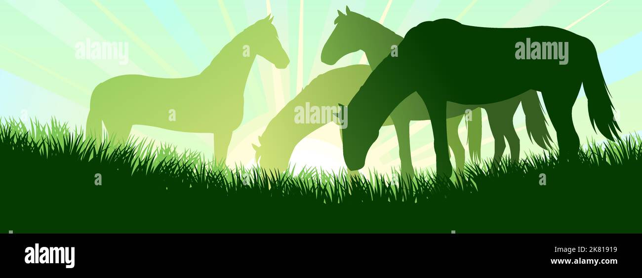 Horses are grazing. Picture silhouette. Farm pets. Animals domestic traditional.On background sunrise. Vector Goat with kid near herd. Stock Vector
