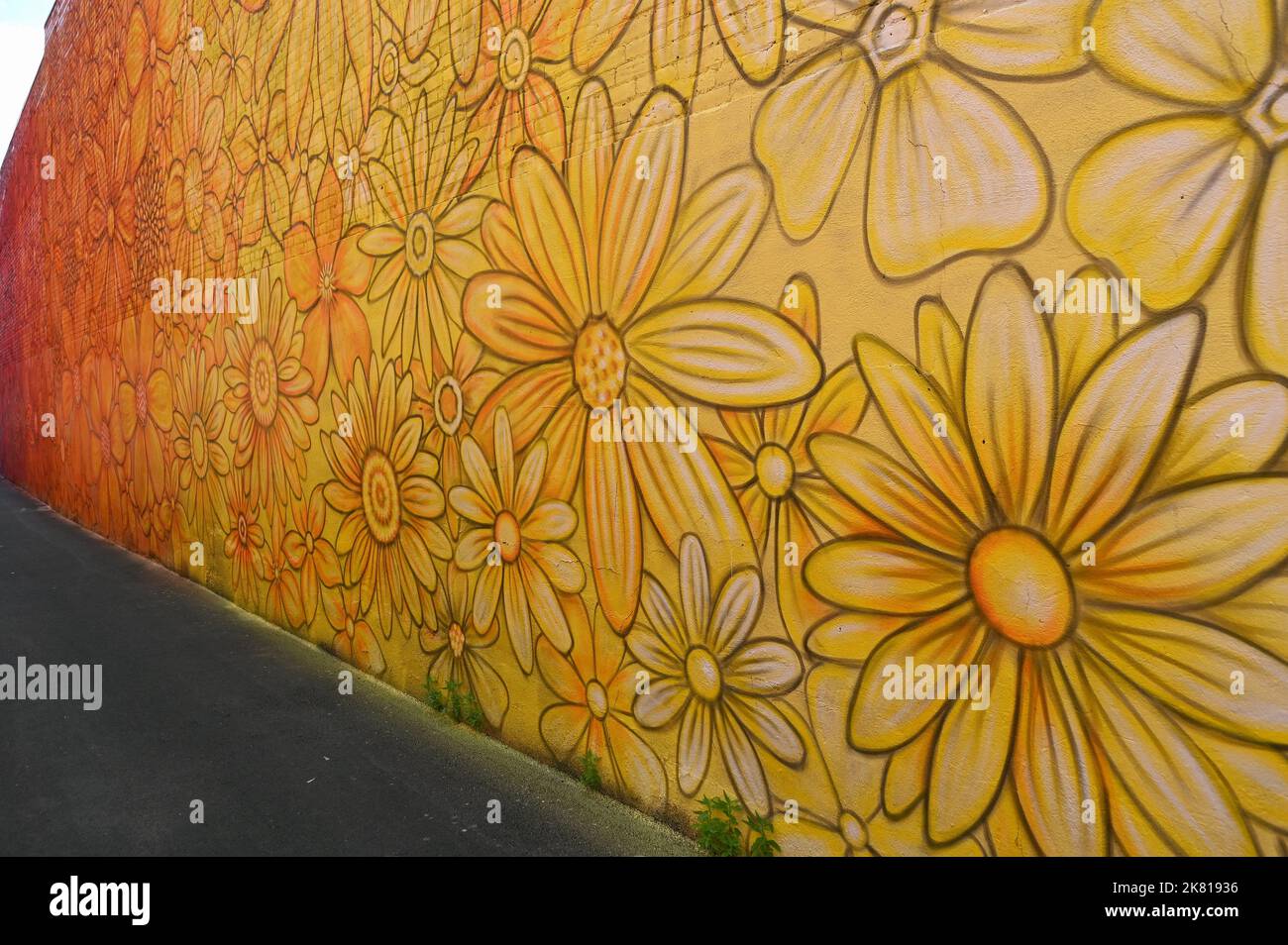 Blumen WandgemŠlde in einer Gasse; Crawfordsville, Indiana, Vereinigte Staaten von Amerika Stock Photo