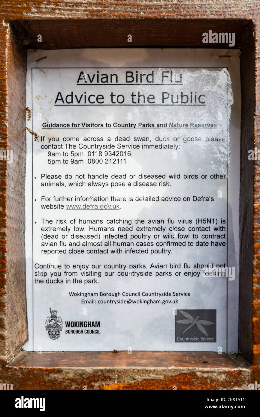 Avian bird flu notice at a country park giving advice and information to the public about what to do if you find a dead bird, 2022 Stock Photo