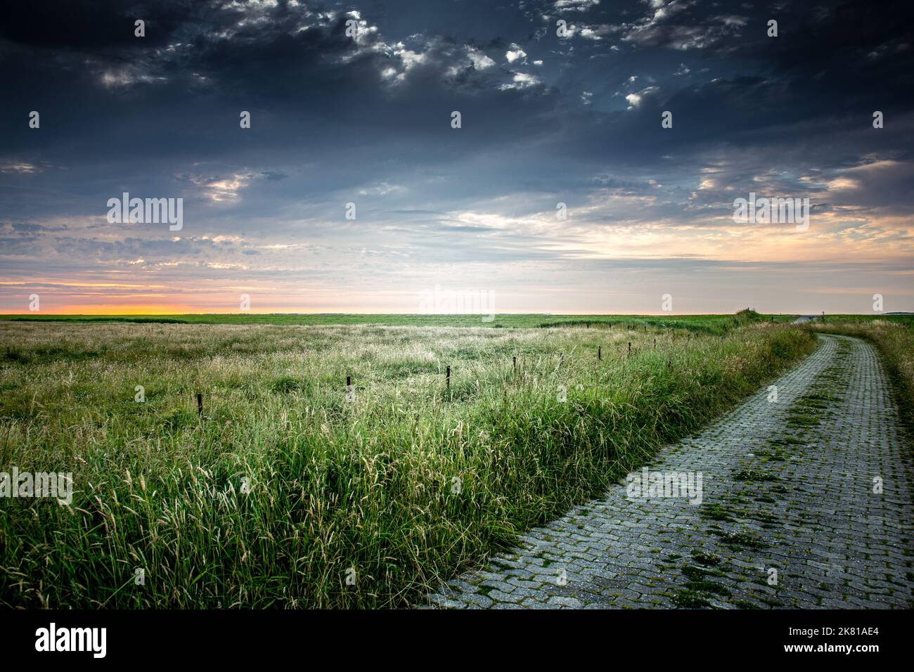 An aerial view of a beautiful forest during sunset Stock Photo - Alamy