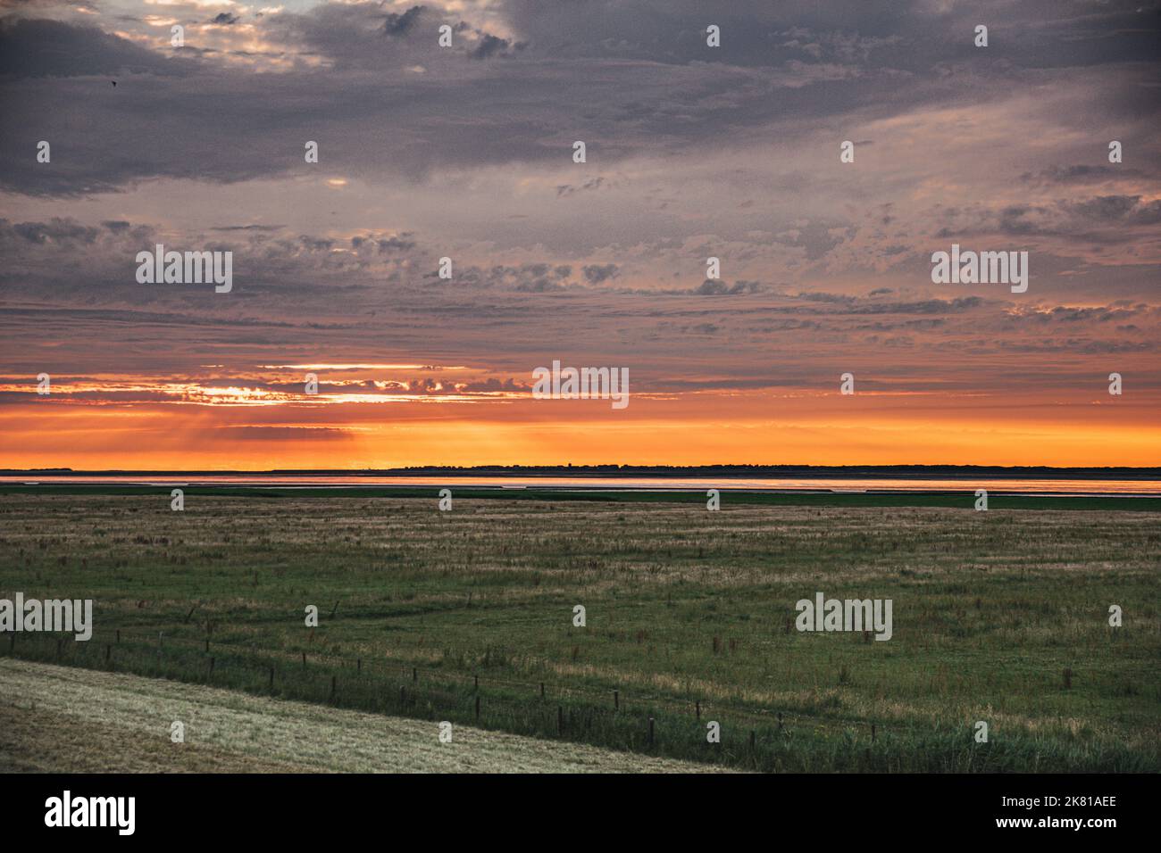 An aerial view of a beautiful forest during sunset Stock Photo - Alamy