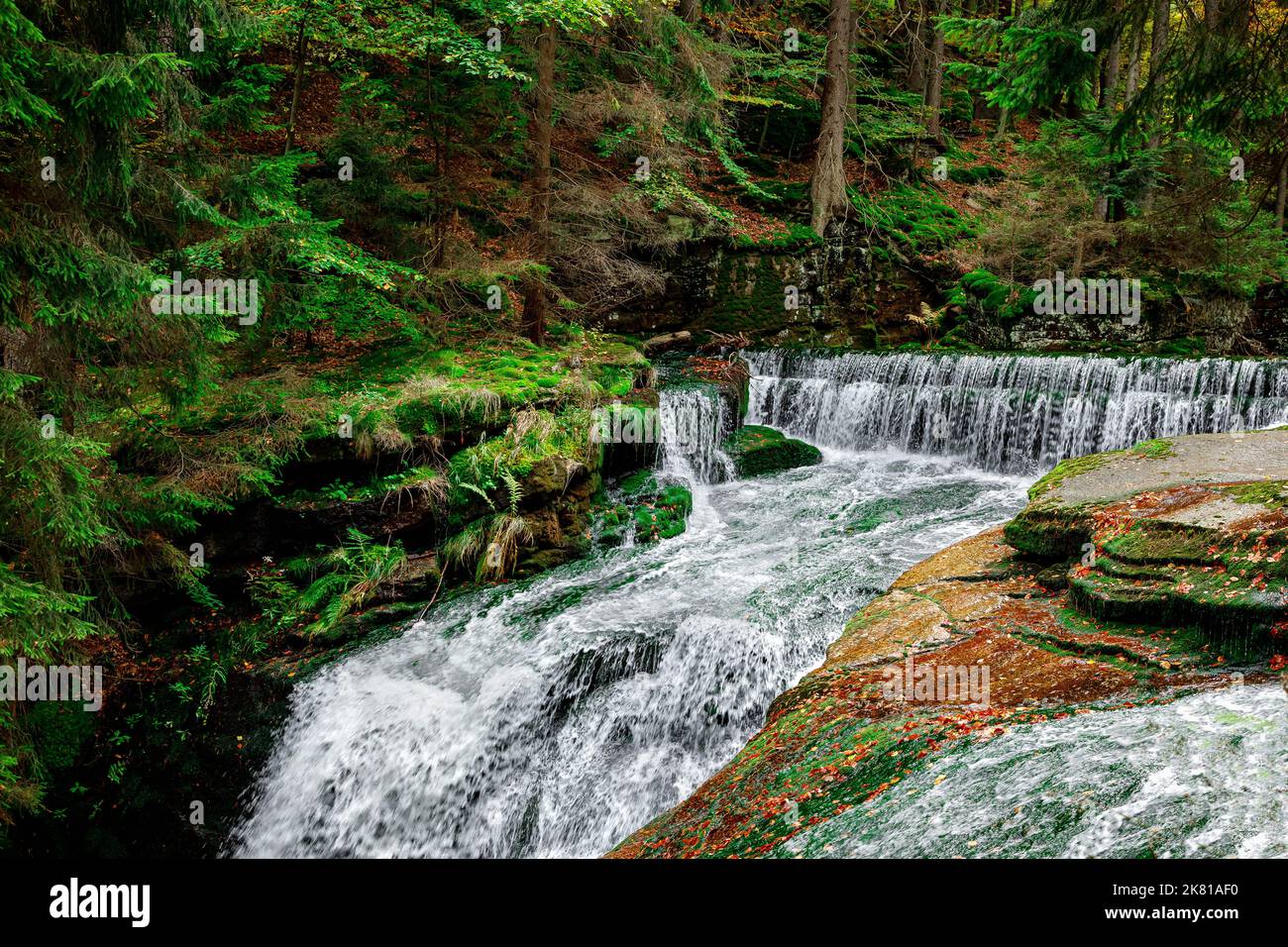 Nature landscape. Waterfall. Beautiful fall mountain wild Forest waterfall with green moss cover stones. Forest autumn landscape. Scenery of nature Stock Photo