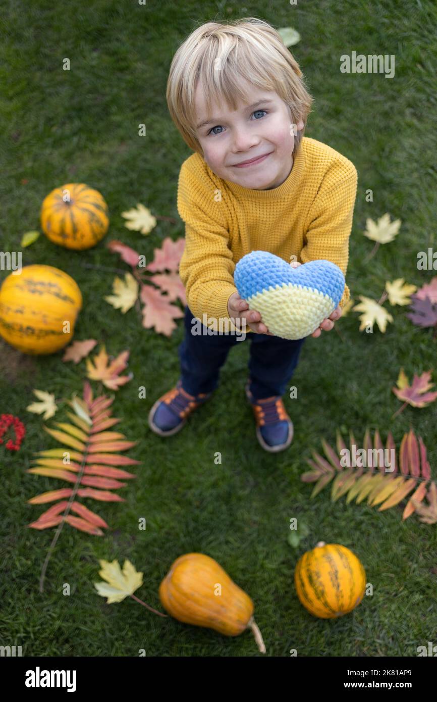 smiling boy standing among orange pumpkins and autumn leaves holds out yellow-blue Ukrainian heart. concept of autumn positive mood, request for peace Stock Photo