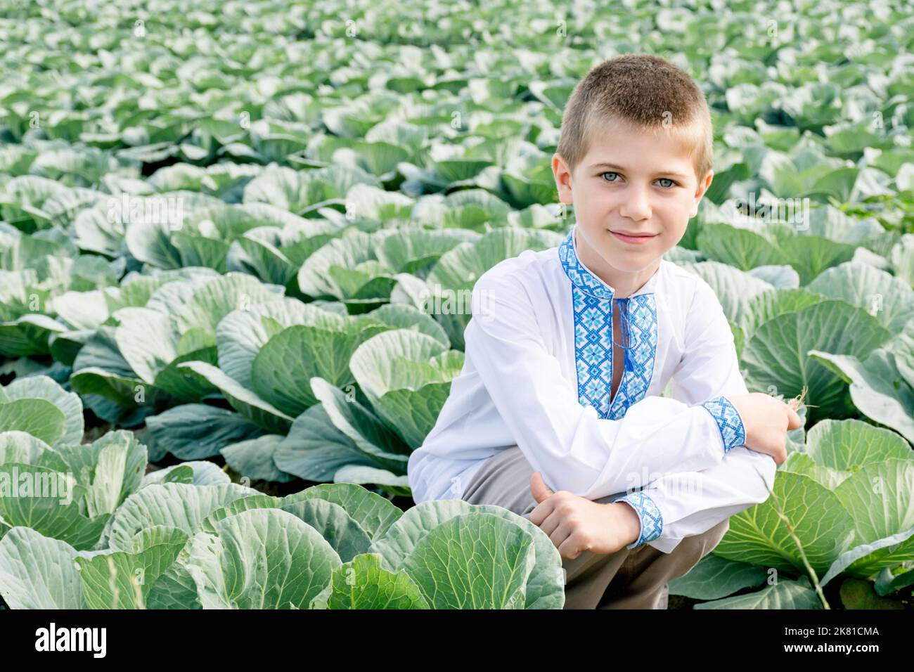 Soft Selective focus. Child in a Ukrainian Vyshyvanka in role of green cabbage. Boy is smiling. Agriculture, vegetables, agro-industry. Ukraine grows food. Ripe harvest. Stock Photo