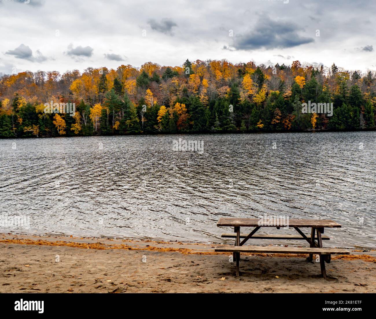 Scenic view of a wooden picnic on a beach on a cold autumn day in October with the river and colorful autumn trees in the background. Stock Photo
