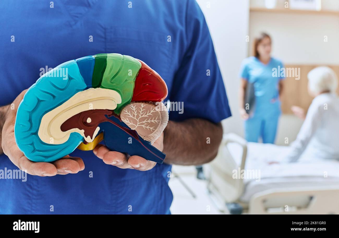 Recovery of elderly woman after stroke in hospital room with doctor and nurse. Neurologist holding anatomical model of human brain, conceptual image Stock Photo
