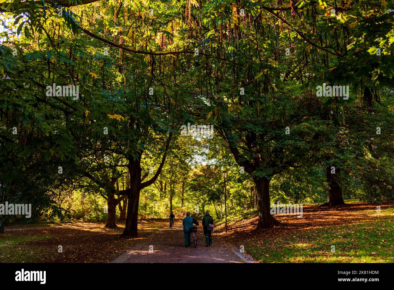 Spaziergänger im herbstlichen Sonnenlicht im Werftpark in Kiel Stock Photo