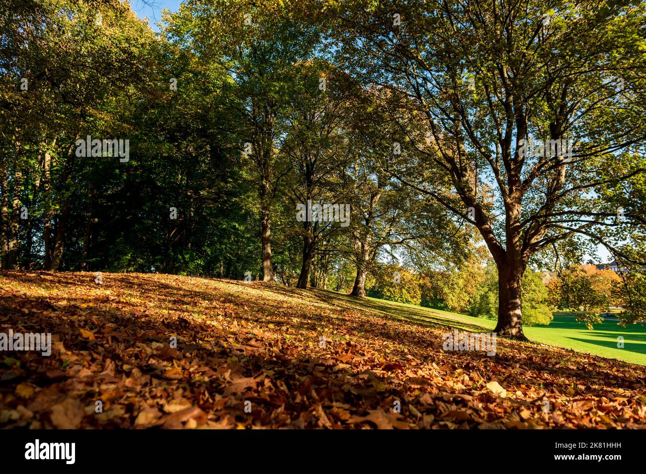 Herbstliche Impressionen im Kieler Werftpark im Sonnenlicht Stock Photo