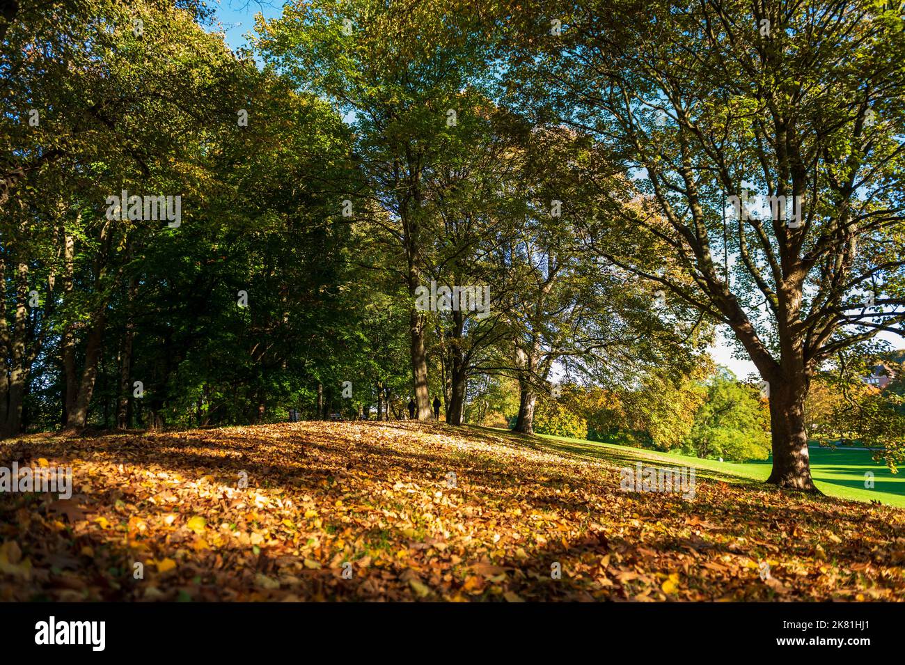 Herbstliche Impressionen im Kieler Werftpark im Sonnenlicht Stock Photo