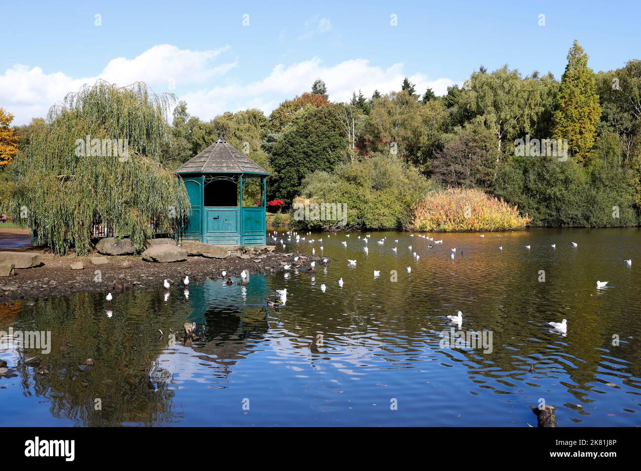 Autumn in Golden Acre Park, Leeds, Yorkshire. UK Stock Photo Alamy