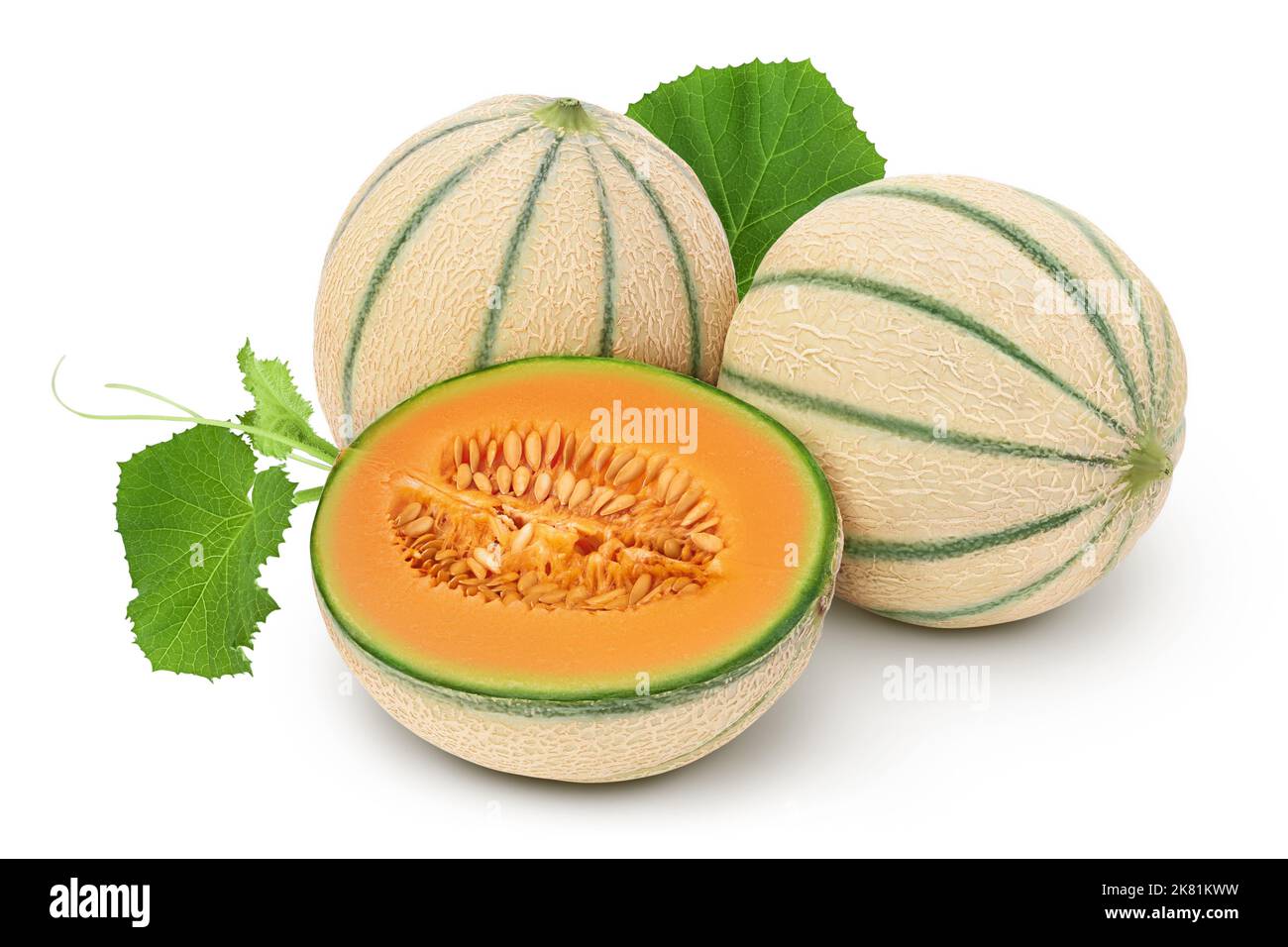 Cantaloupe melon isolated on white background with full depth of field Stock Photo