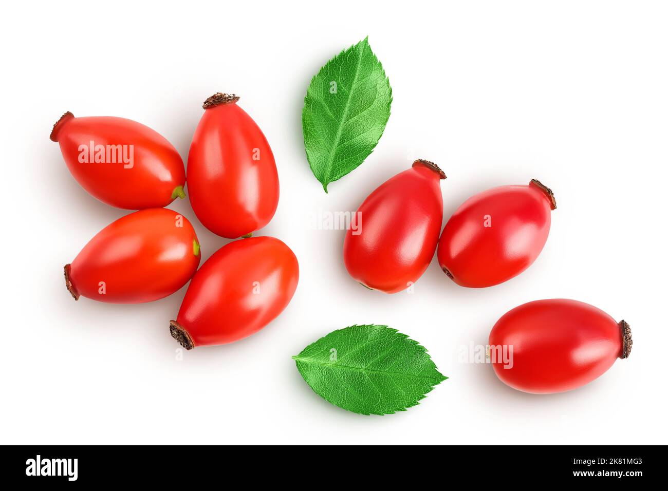 Rose hip isolated on a white background with full depth of field. Top ...