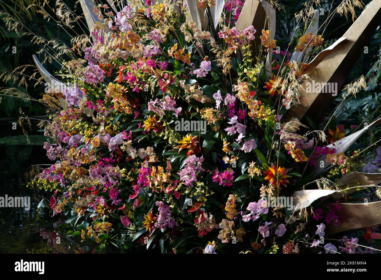 Kew Gardens Orchid Festival 2022 Stock Photo Alamy