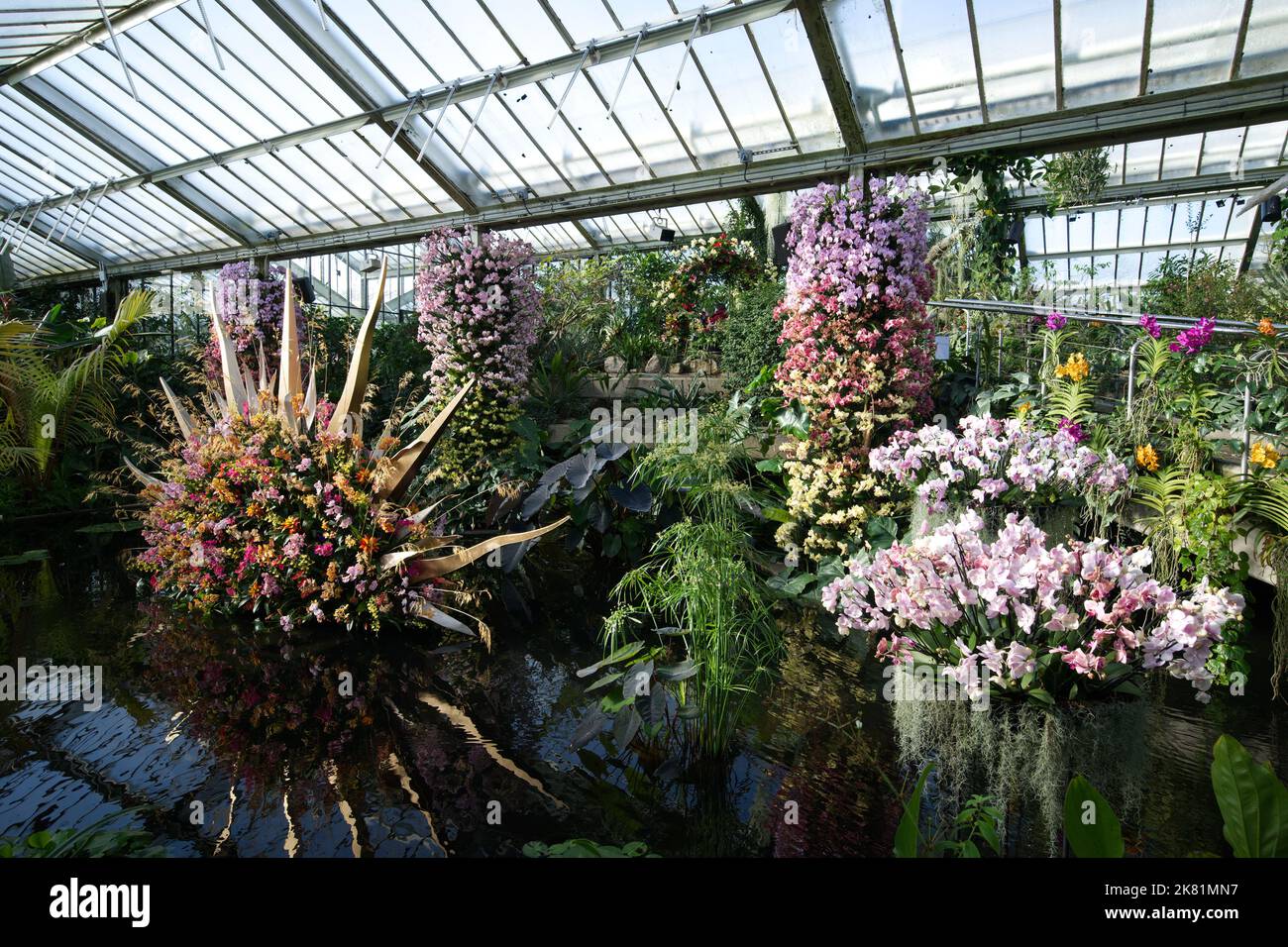 Kew Gardens Orchid Festival 2022 Stock Photo Alamy