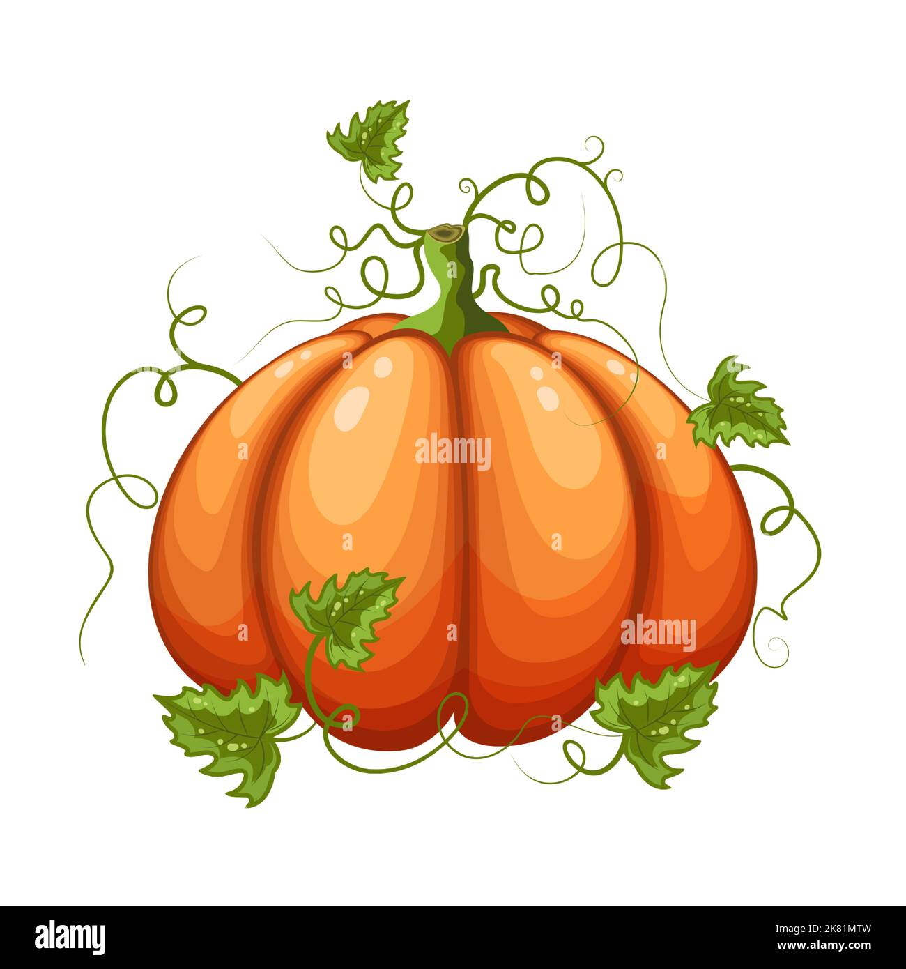 Halloween pumpkin isolated on white background. Vector illustration ...