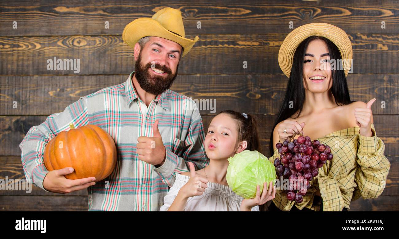 Family rustic style farmers market with fall harvest. Harvest festival ...