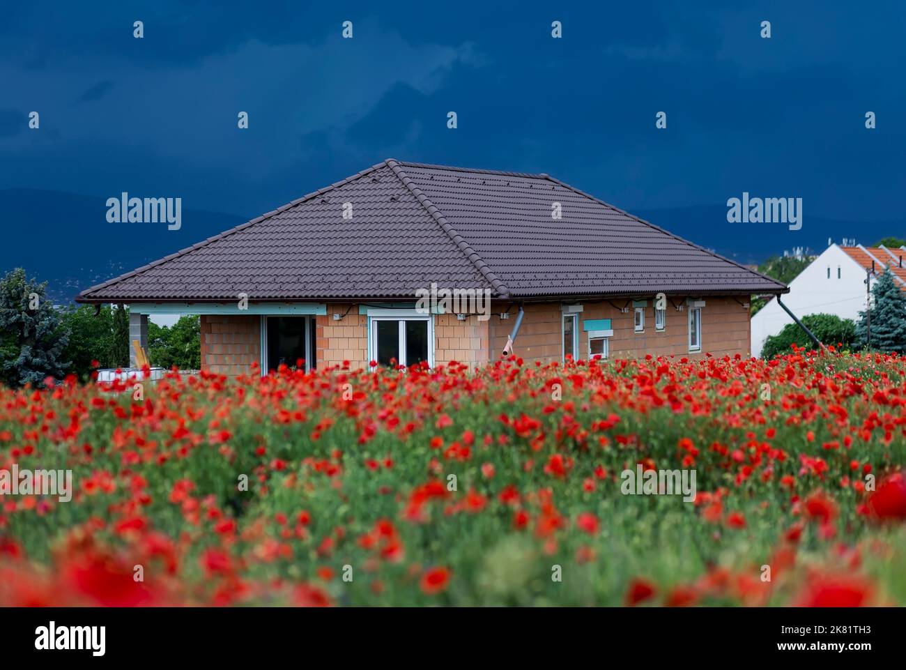 Semi-finished, half-finished house with red poppy field at overcast sky Stock Photo