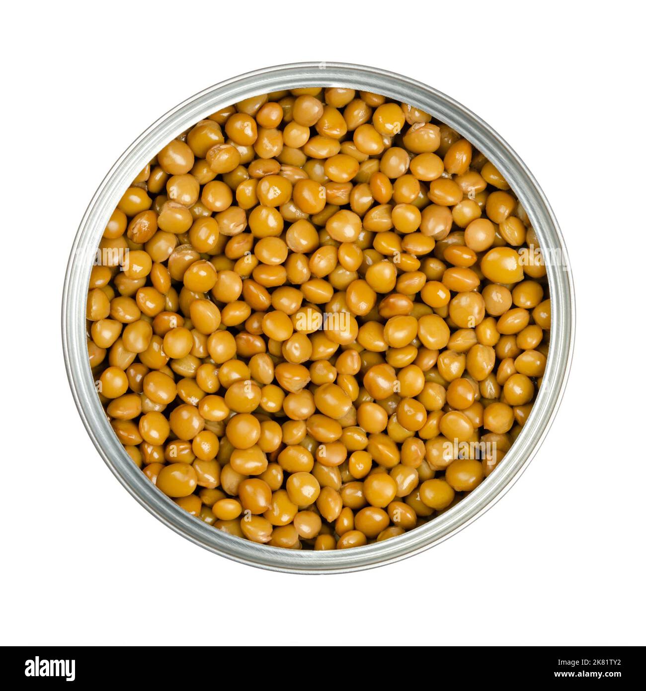 Lentils in an opened can. Cooked and canned small brown lentils, seeds of Lens culinaris, a legume and staple, used for thick curry, gravy or dal. Stock Photo