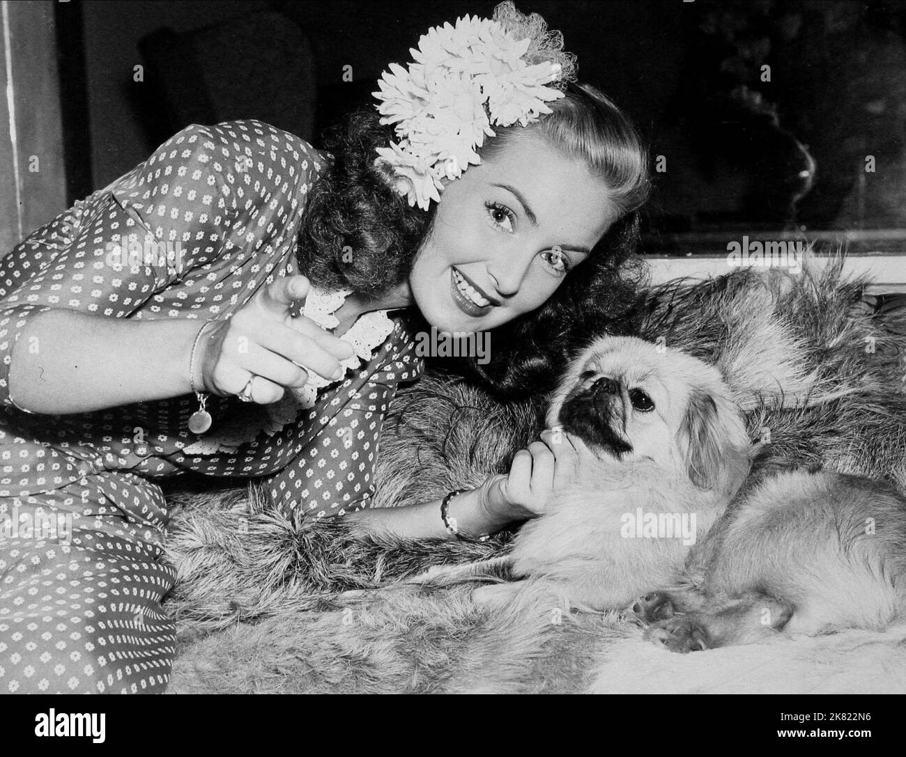 Patricia Roc & Dog Film: One Night With You (1949) Characters: Mary Santell &  Director: Terence Young 25 April 1948   **WARNING** This Photograph is for editorial use only and is the copyright of TWO CITIES and/or the Photographer assigned by the Film or Production Company and can only be reproduced by publications in conjunction with the promotion of the above Film. A Mandatory Credit To TWO CITIES is required. The Photographer should also be credited when known. No commercial use can be granted without written authority from the Film Company. Stock Photo