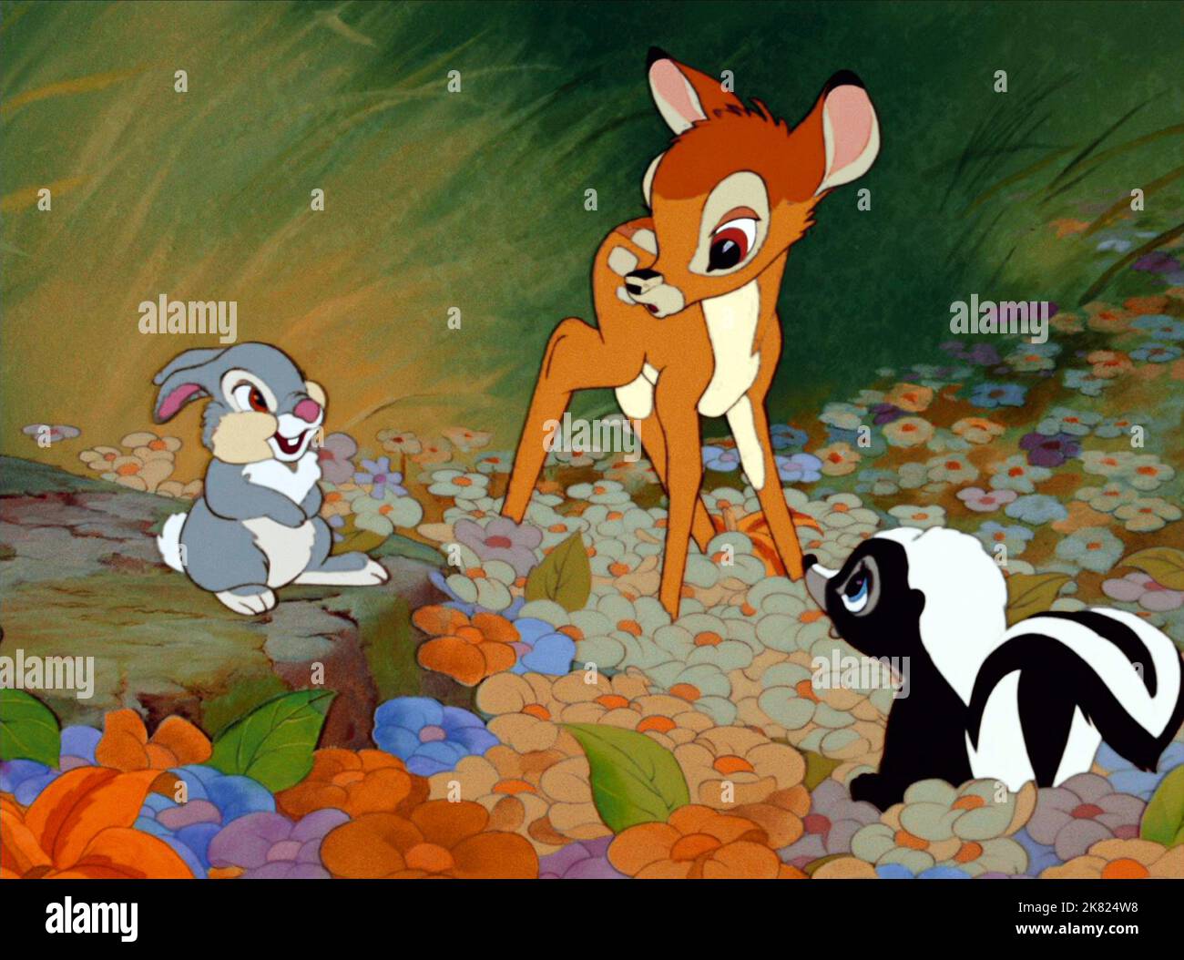 Thumper, Bambi & Flower Film: Bambi (USA 1942)   Director: David Hand 08 August 1942   **WARNING** This Photograph is for editorial use only and is the copyright of DISNEY and/or the Photographer assigned by the Film or Production Company and can only be reproduced by publications in conjunction with the promotion of the above Film. A Mandatory Credit To DISNEY is required. The Photographer should also be credited when known. No commercial use can be granted without written authority from the Film Company. Stock Photo