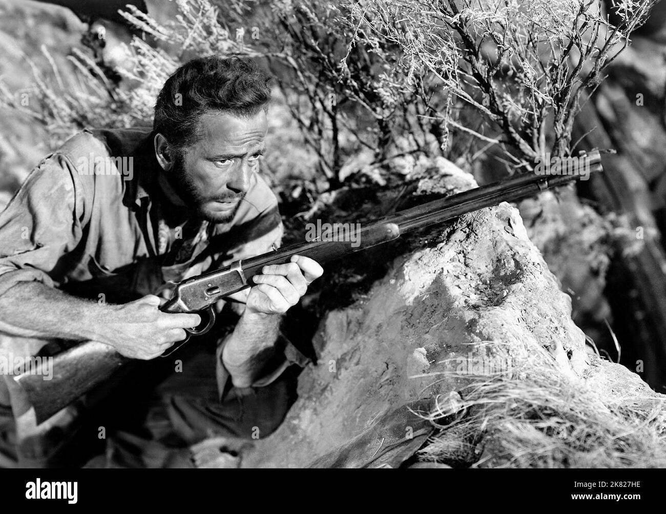 Humphrey Bogart Film: The Treasure Of The Sierra Madre (USA 1948) Characters: Fred C. Dobbs  / Literaturverfilmung (Based On The Book By B. Traven) Director: John Huston 15 January 1948   **WARNING** This Photograph is for editorial use only and is the copyright of WARNER BROS. and/or the Photographer assigned by the Film or Production Company and can only be reproduced by publications in conjunction with the promotion of the above Film. A Mandatory Credit To WARNER BROS. is required. The Photographer should also be credited when known. No commercial use can be granted without written authorit Stock Photo