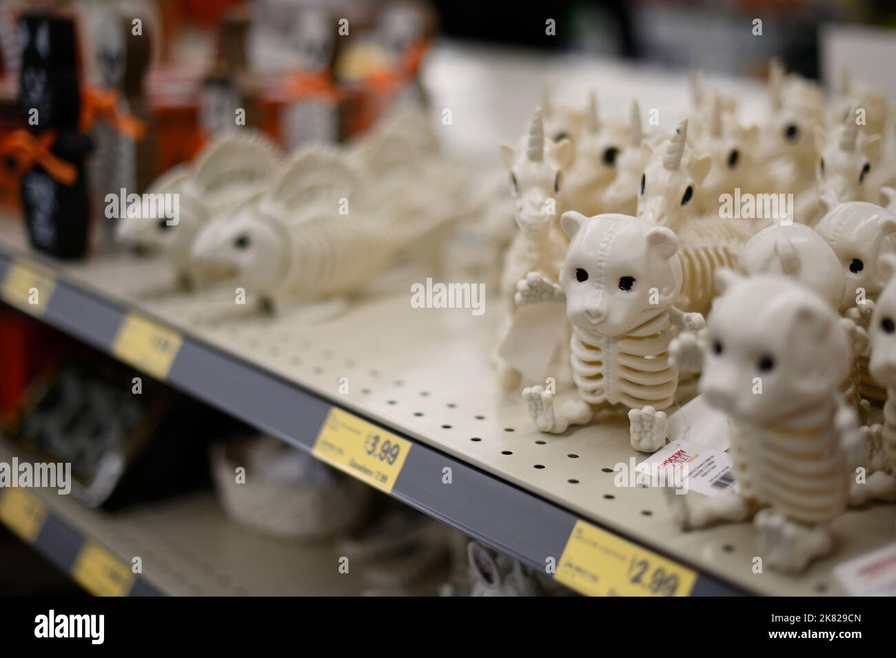 Philadelphia, United States. 19th Oct, 2022. Plastic halloween decorations for sale at a budget grocery store in Philadelphia, Pennsylvania, United States on October 19, 2022. The Federal Reserve closely monitors higher than usual inflation rates as consumers are affected by continued increase of costs. Credit: OOgImages/Alamy Live News Stock Photo