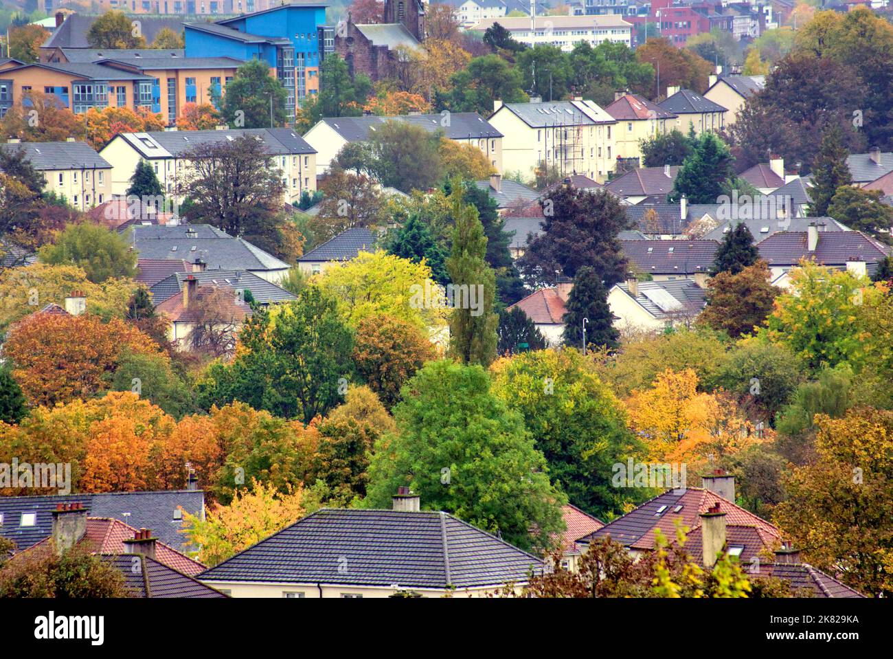 Glasgow, Scotland, UK  20th October,  2022. UK Weather: Full Autumn colour as it peaked today amongst the cloud and rain over the affluent leafy west end of the city knightswood suburb.  Credit Gerard Ferry/Alamy Live News Stock Photo