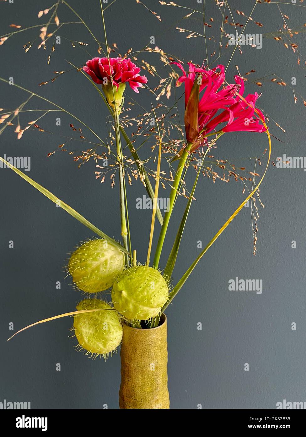 Swan plant, African milkweed, ballon plant and purple carnation flower in green ceramic vase against petrol blue wall. High quality photo Stock Photo