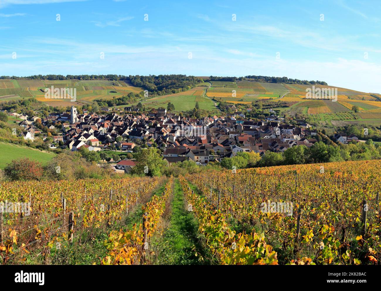 The French wine growing village of Irancy in Burgundy Stock Photo