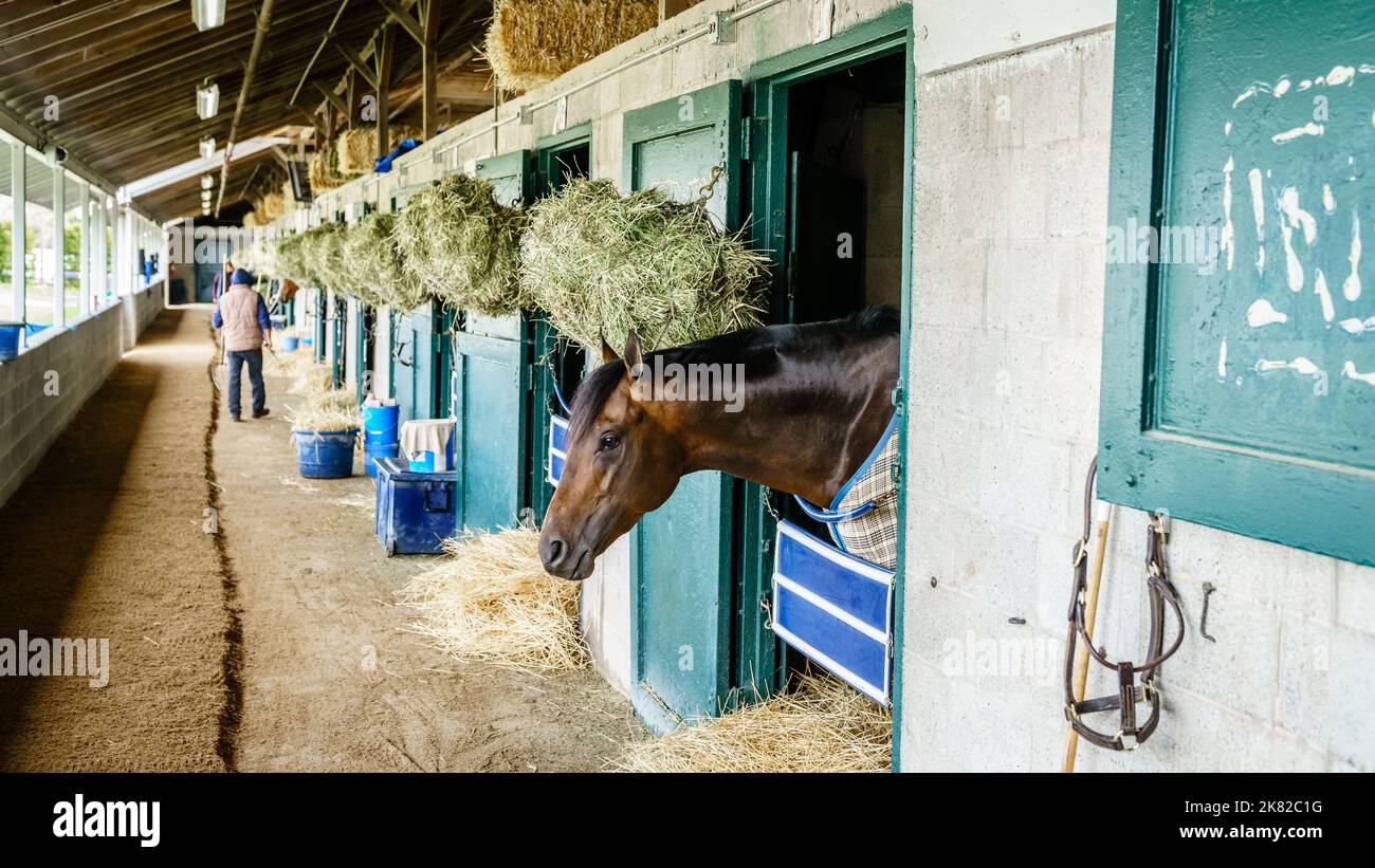 Stables for thoroughbred race horses in Lexington, Kentucky Stock Photo